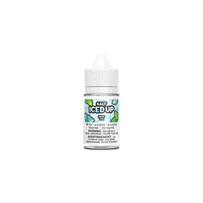 Shop Mint Ice by Iced Up Salt Juice - at Vapeshop Mania